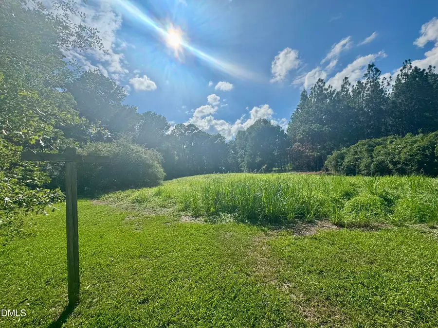 2099 N Salemburg Highway, Salemburg, NC 28385 - #3