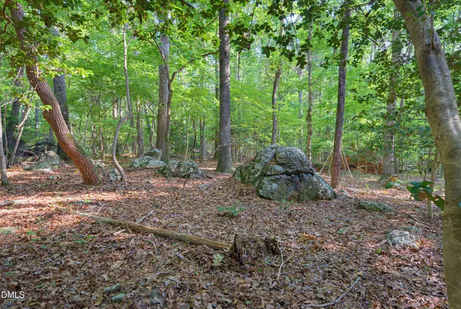 100 Sloping Pond Road, Pittsboro, NC 27312 - #3