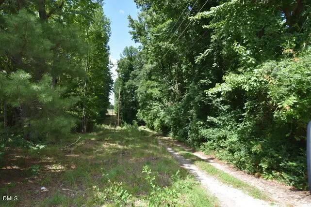00 Garner Road, Snow Camp, NC 27349 - #1