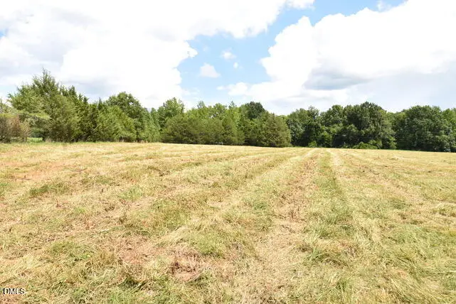 00 Garner Road, Snow Camp, NC 27349 - #2