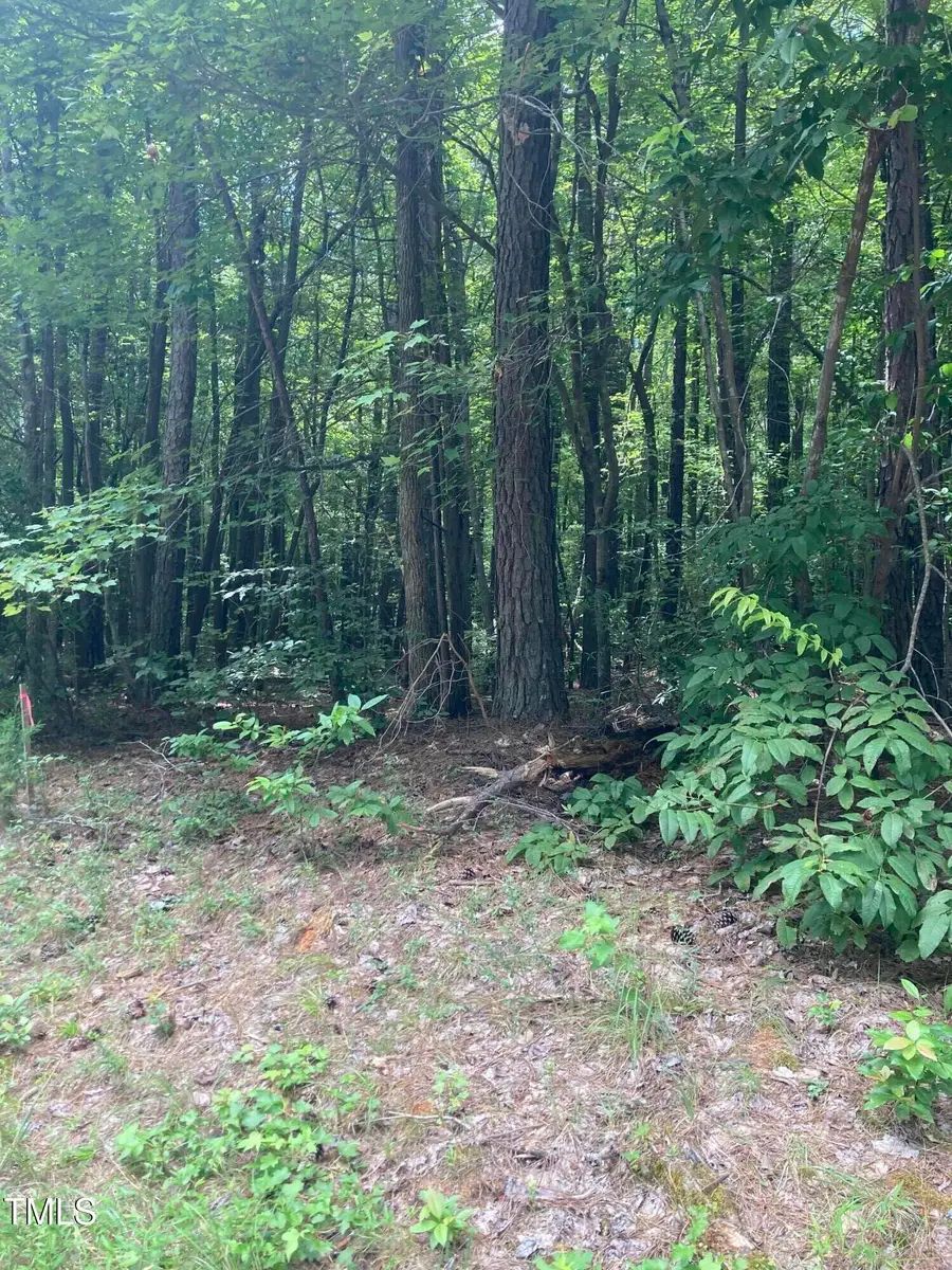 201 Lake Court, Chapel Hill, NC 27516 - #2