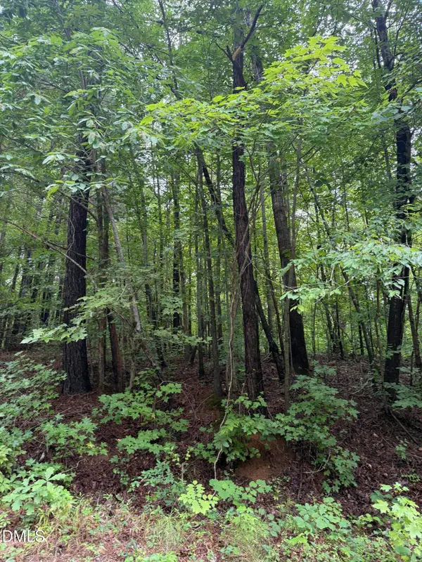 Lot 12 Frazier Lane, Franklinton, NC 27525