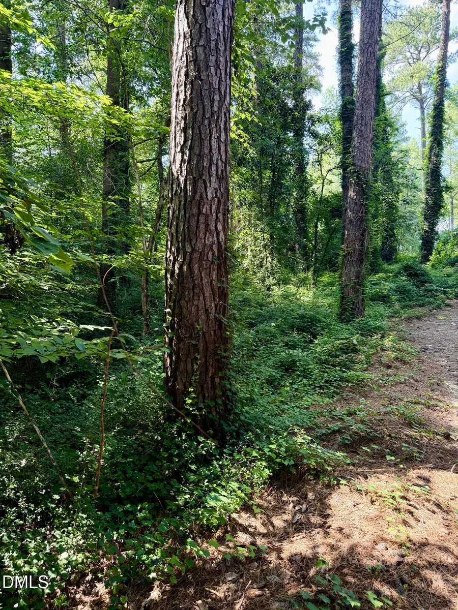 0 Brookside Drive, Chapel Hill, NC 27516 - #3