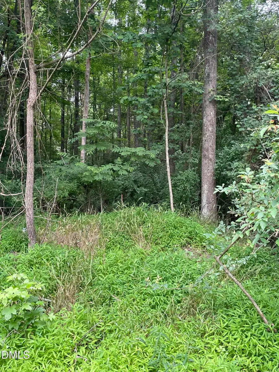 00 Pleasant Hill Church Road, Siler City, NC 27344 - #3