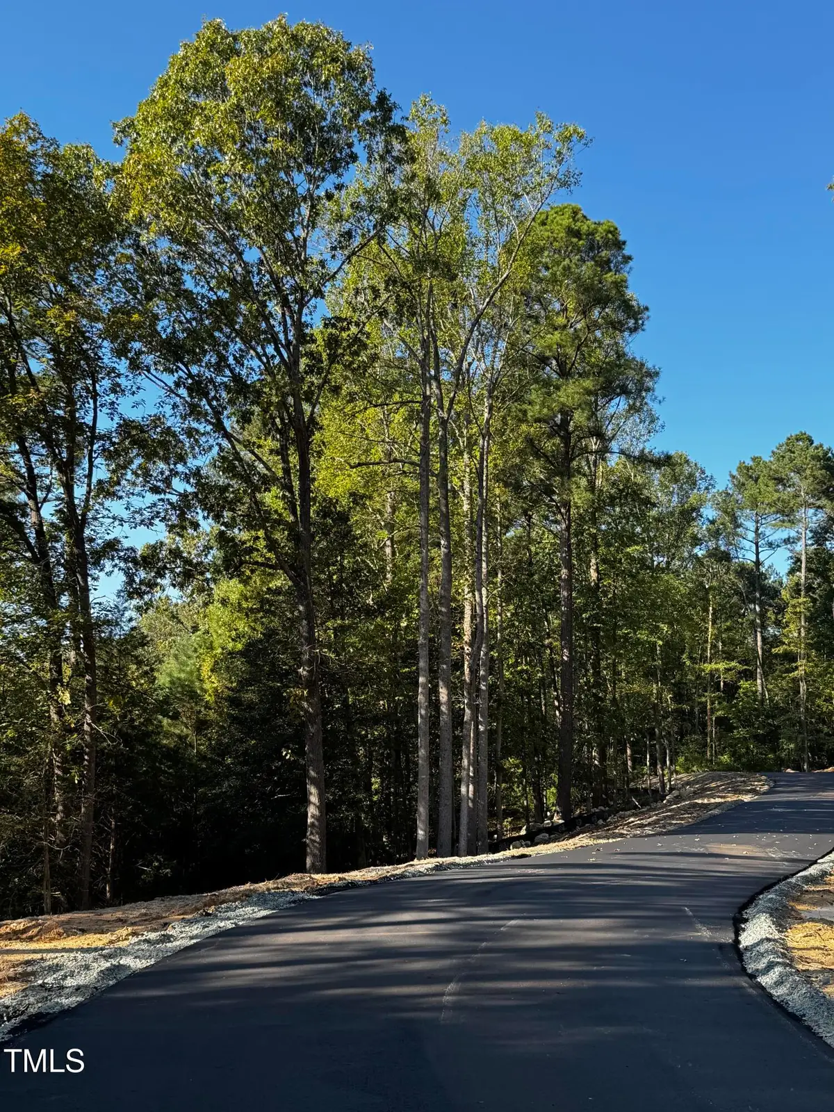 140 Noble Reserve Way, Pittsboro, NC 27312 - #1