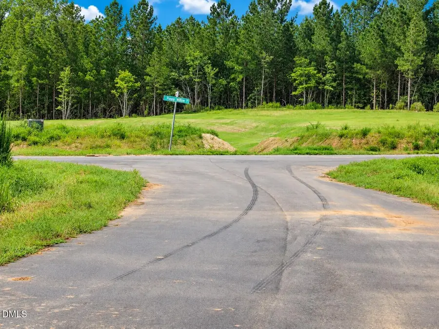 4456 Poppy Mallow Lane, Oxford, NC 27565 - #3