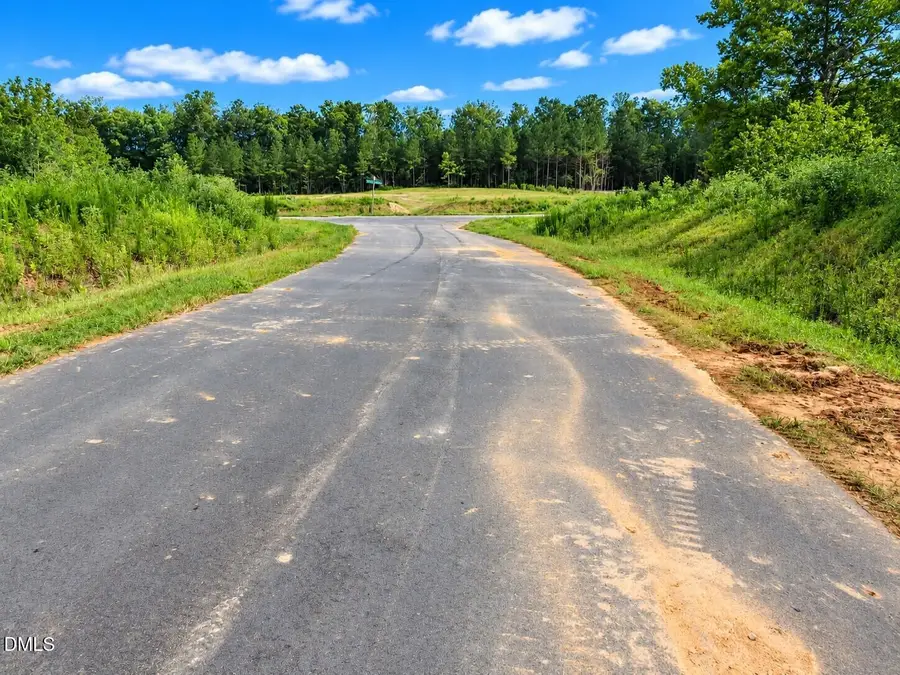 4466 Poppy Mallow Lane, Oxford, NC 27565 - #3