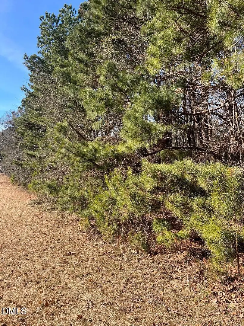 204 Fairhaven Street, Apex, NC 27539 - #3
