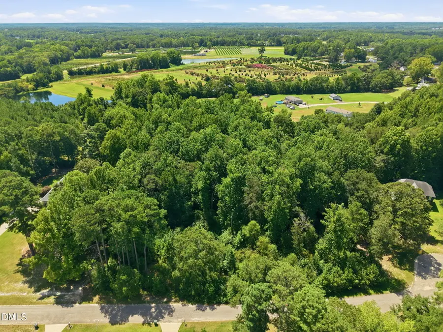205 Teresa Court, Angier, NC 27501 - #3
