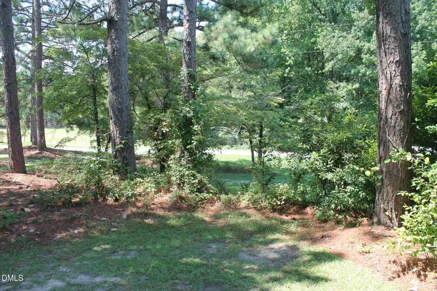 0 Lakeside Drive, Lillington, NC 27546 - #3