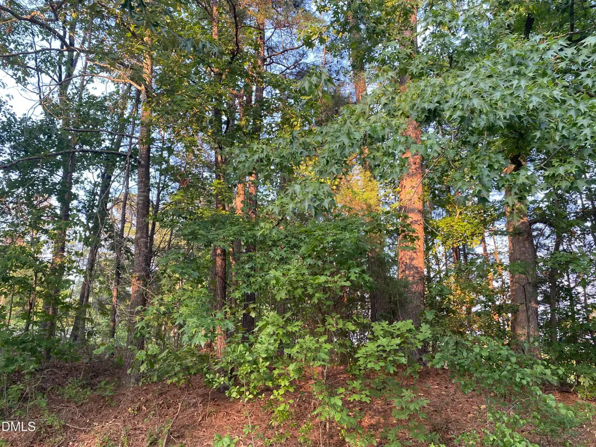 2417 Holiday Drive, Raleigh, NC 27610 - #1
