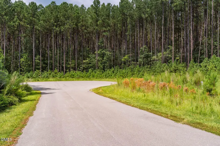586 Anneliis Lane, Siler City, NC 27344 - #2