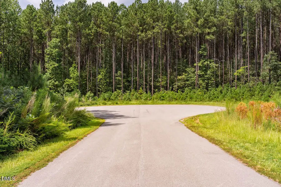 586 Anneliis Lane, Siler City, NC 27344 - #3