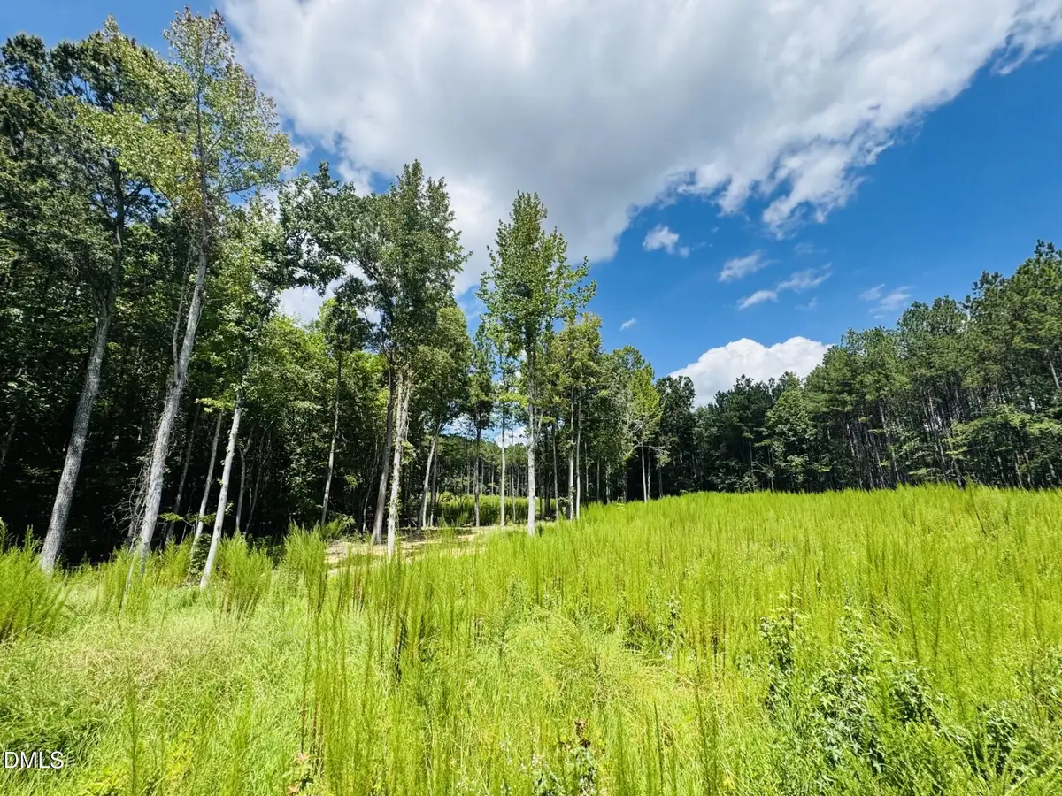 185 Larkington Drive, Siler City, NC 27344 - #1