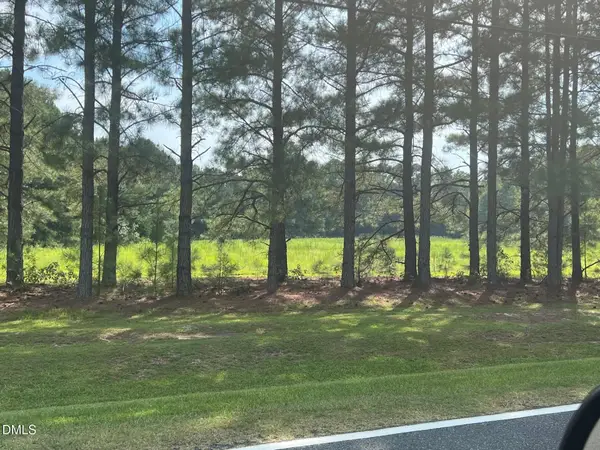 3381 Matthews Mill Pond Road, Angier, NC 27501