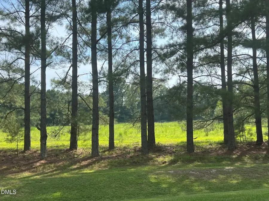 3405 Matthews Mill Pond, Angier, NC 27501 - #3