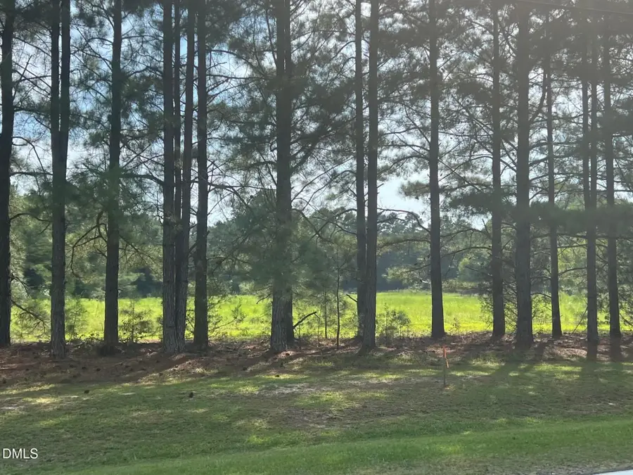3427 Matthews Mill Pond Road, Angier, NC 27501 - #2