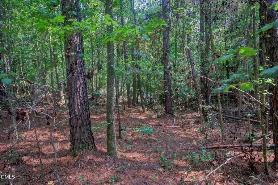 0000 Rumley Road, Graham, NC 27253 - #3