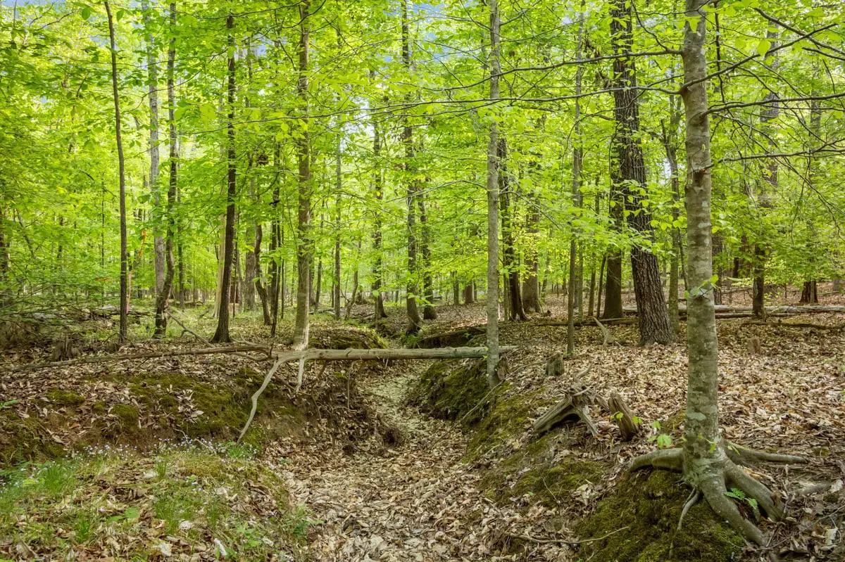 2a Union Grove Church Road, Chapel Hill, NC 27516 - #1