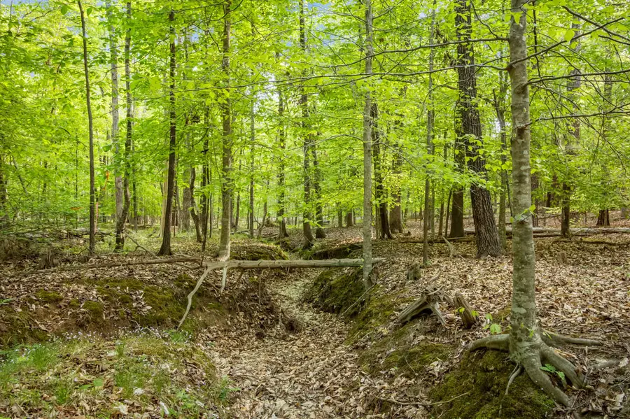 2A Union Grove Church Road, Chapel Hill, NC 27516 - #3
