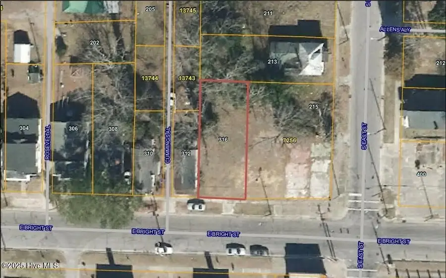 316 E Bright Street, Kinston, NC 28501 - #2