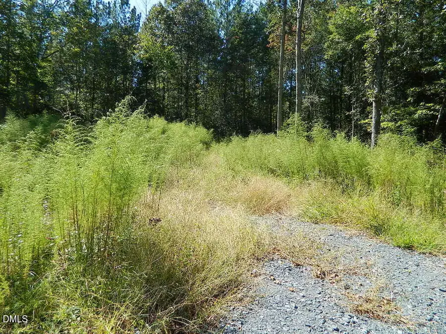 3036 Bennett Siler City Road, Bennett, NC 27208 - #2