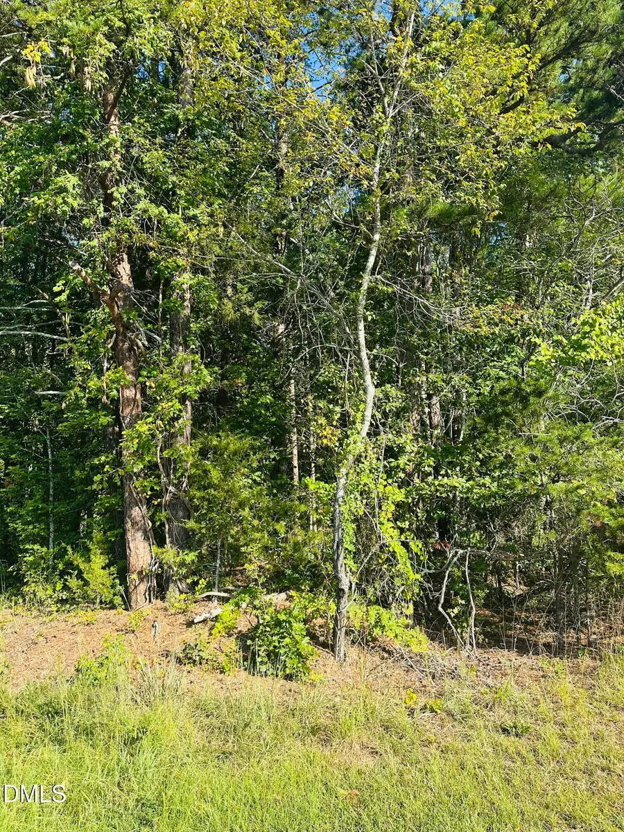 4 Salem Pond Drive, Hurdle Mills, NC 27541 - #3
