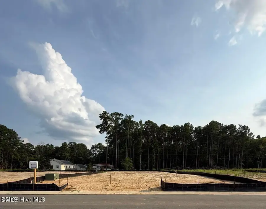 123 White Bark Avenue, Rocky Mount, NC 27804 - #2
