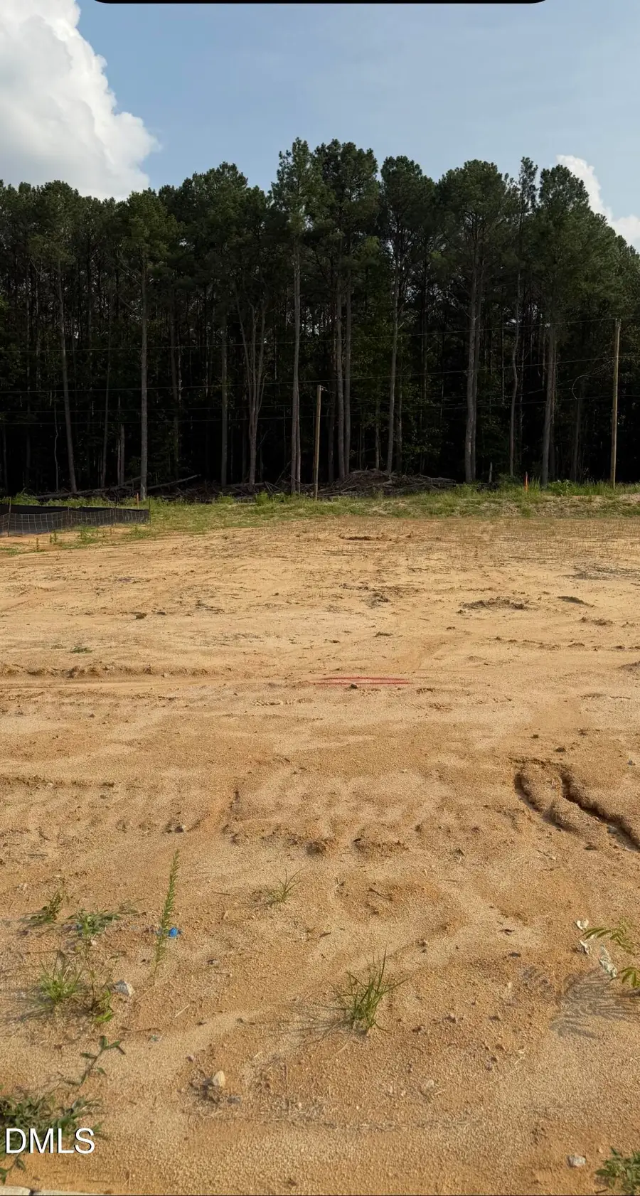 135 White Bark Avenue, Rocky Mount, NC 27804 - #2