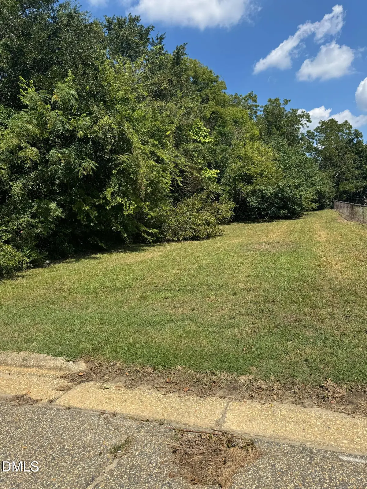 1011 E Broad Street, Dunn, NC 28334 - #1