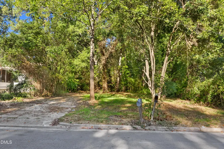 1011 Da Vinci Street, Durham, NC 27704 - #3