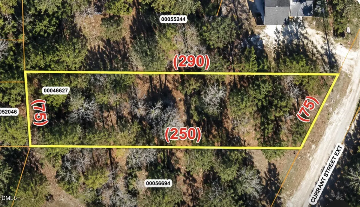 0 Current Street Ext Extension, Pinebluff, NC 28373 - #1