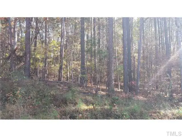 4902 Mimosa Drive, Durham, NC 27713 - #2