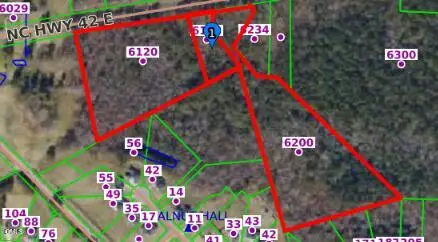 6120 E Carolina 42, Selma, NC 27576
