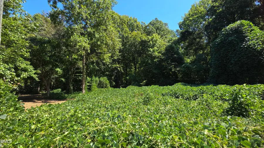 58.2 Acres Mitchell Avenue, Franklinton, NC 27525 - #3