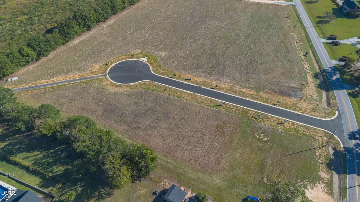 Lot 3 Dogeye Road, Benson, NC 27504 - #1