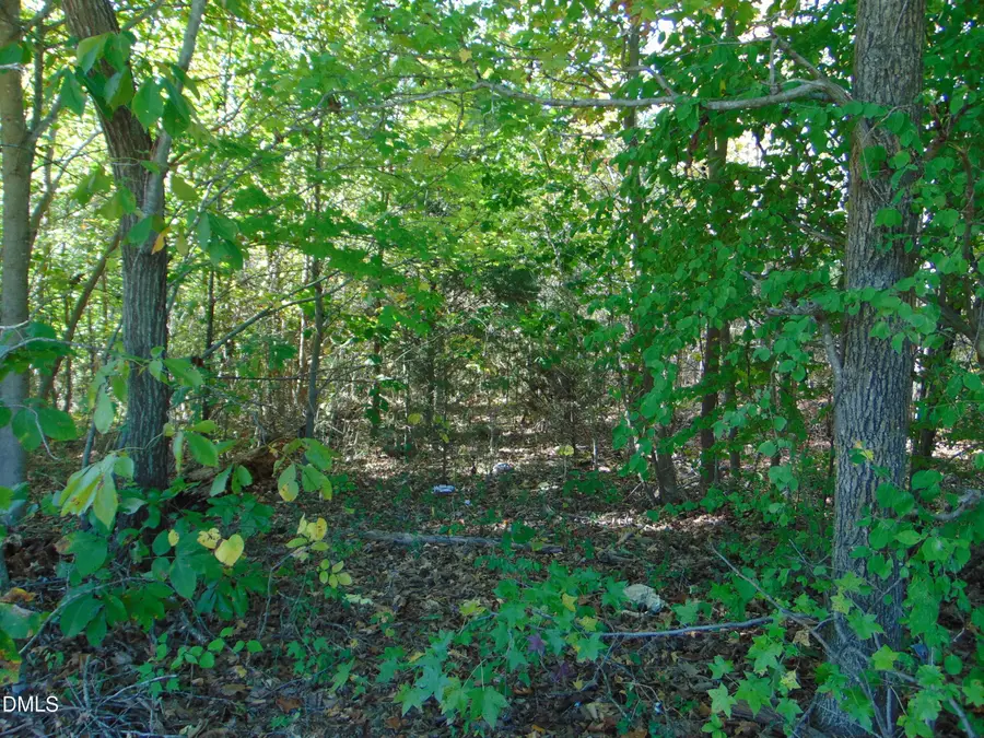 Lot 10 Bill Smith Road, Providence, NC 27315 - #2