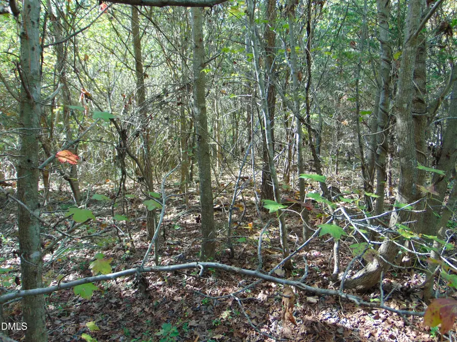 Lot 10 Bill Smith Road, Providence, NC 27315 - #3