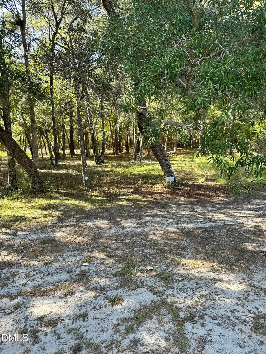 602 Valverda Street, Supply, NC 28462 - #2