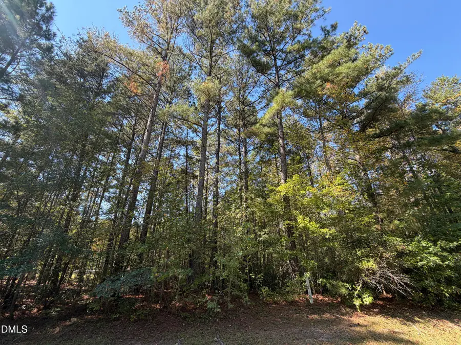 33 Willow Creek Court, Pittsboro, NC 27312 - #2
