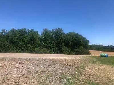 6035 Burlington Road, Jefferson, NC 27249 - Image #2