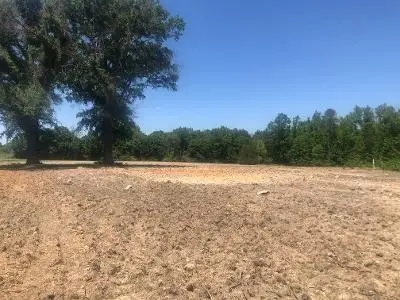 6035 Burlington Road, Jefferson, NC 27249 - Image #3