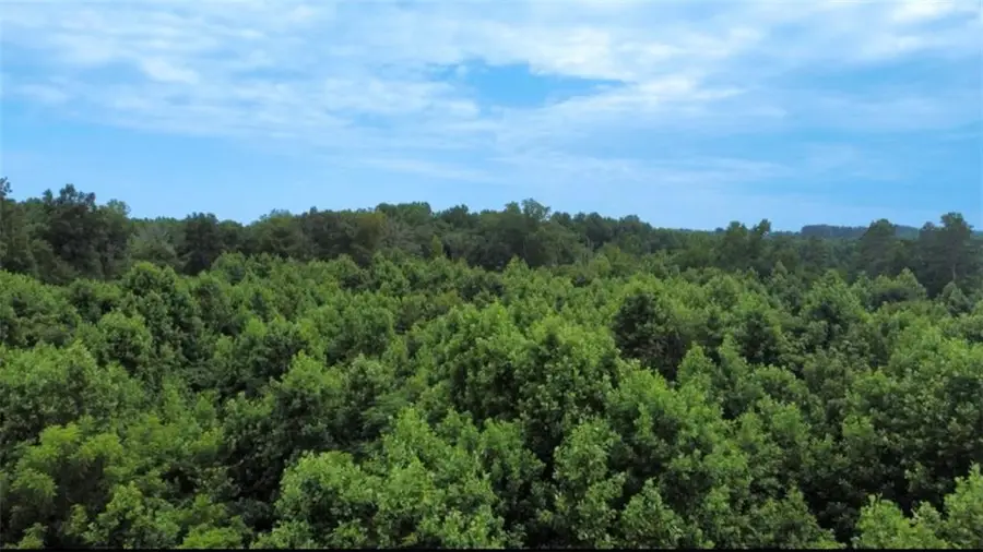 0 Willard Road, Staley, NC 27355 - Image #2