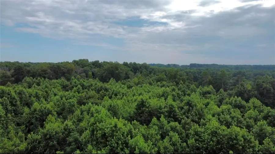 0 Willard Road, Staley, NC 27355 - Image #3