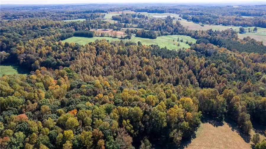 3001 Headen Country Trail, Staley, NC 27355 - Image #3