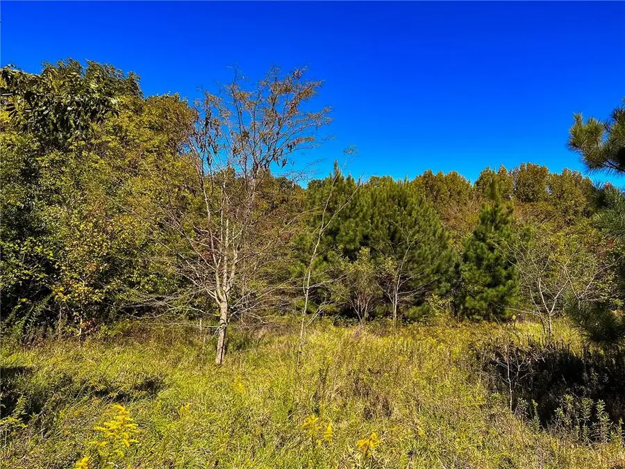 0 Walker Road, Elon, NC 27244 - Image #2