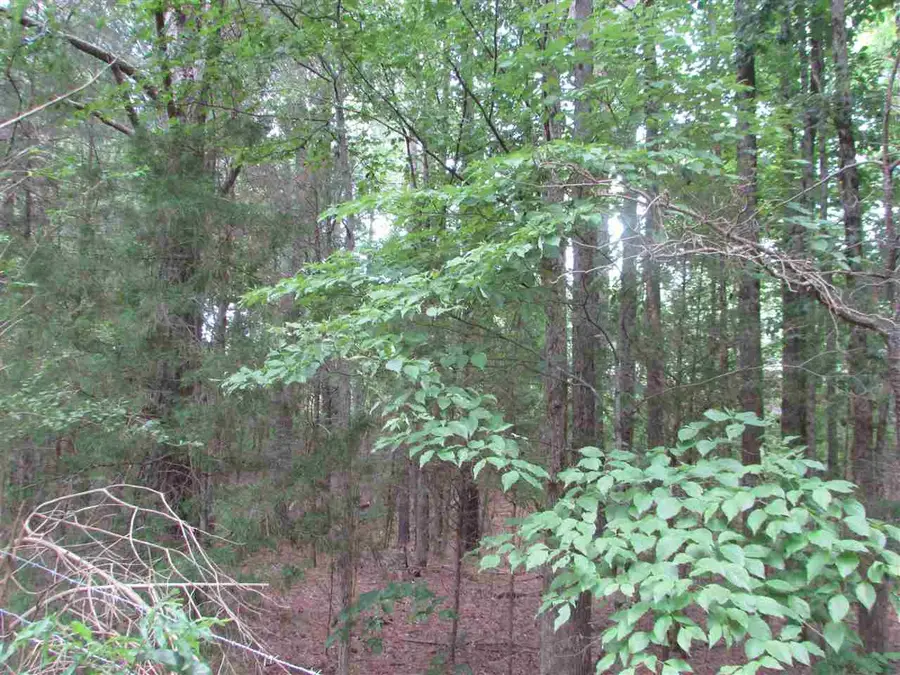 Loves Creek Church Road, Siler City, NC 27344 - Image #3