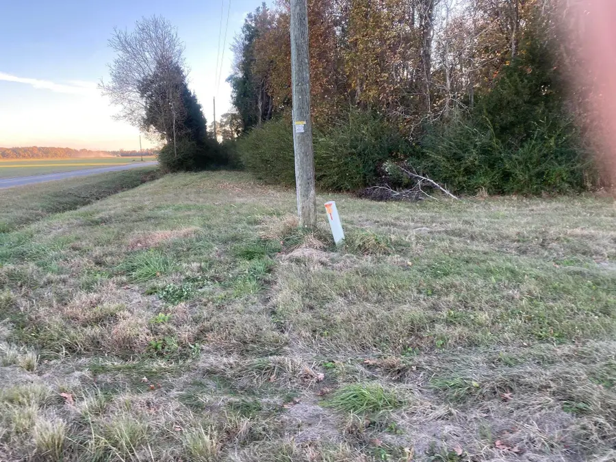 1183 Georgia Avenue, Columbia, NC 27925 - Image #2