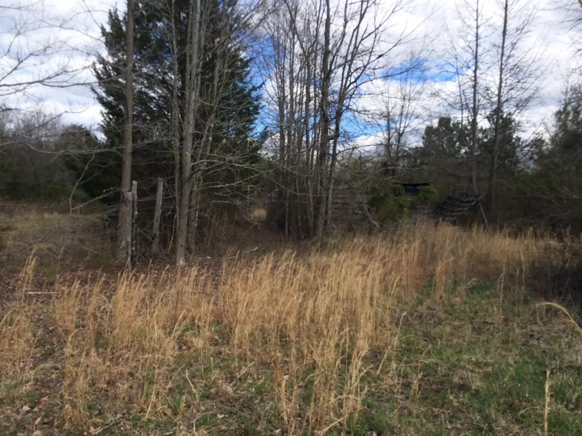 5307 Oscar Gammon Road, Mebane, NC 27302 - Image #1