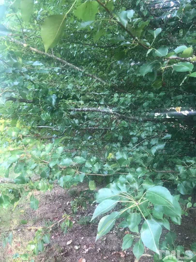 212 Raleigh Farms Road, Youngsville, NC 27596 - Image #1